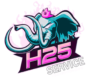 h25 service - logo